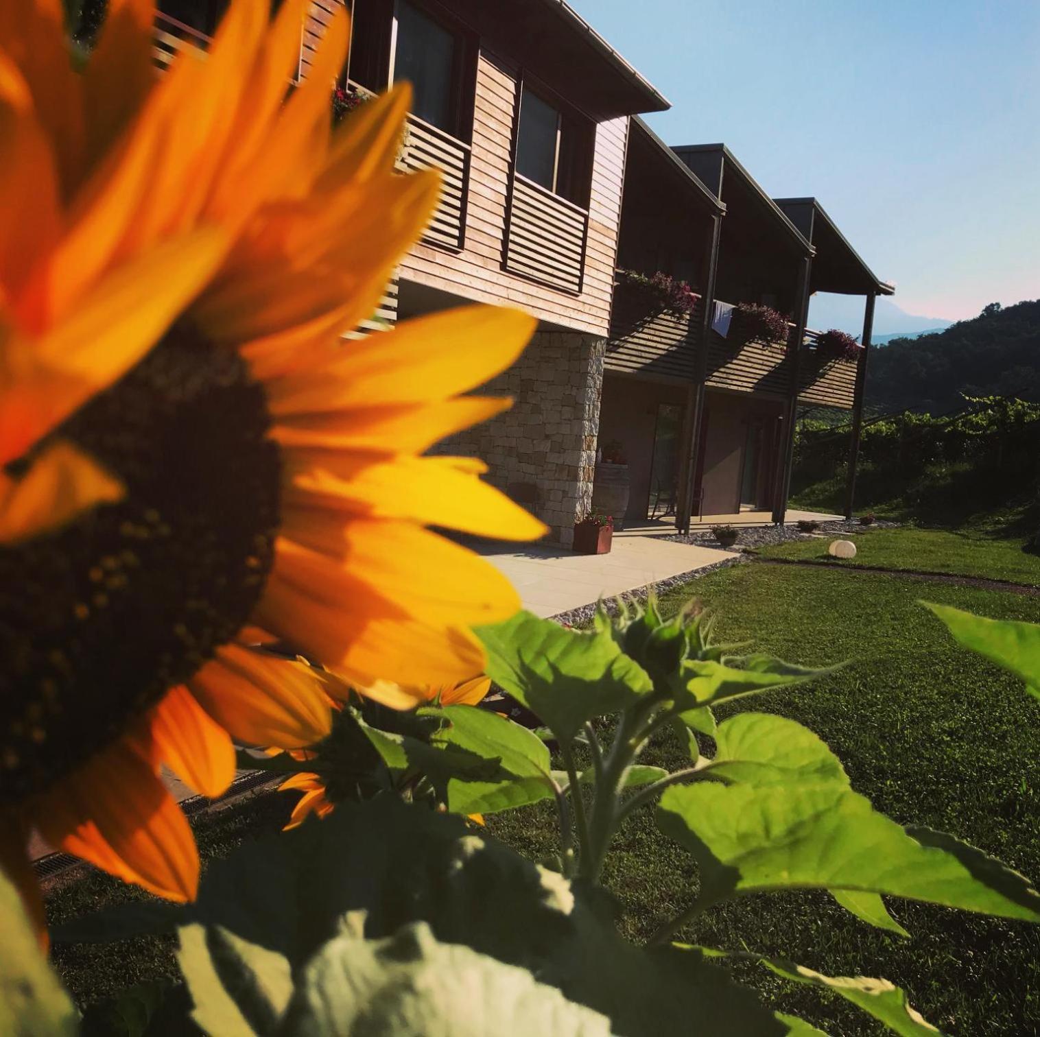Agritur Verderame Trento Exterior photo